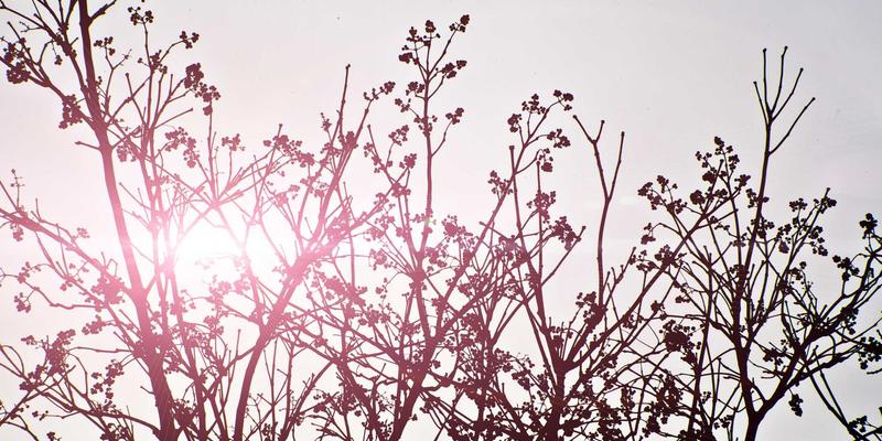 SRv6实战指南：如何用Segment Routing IPv6重构你的广域网与创新服务